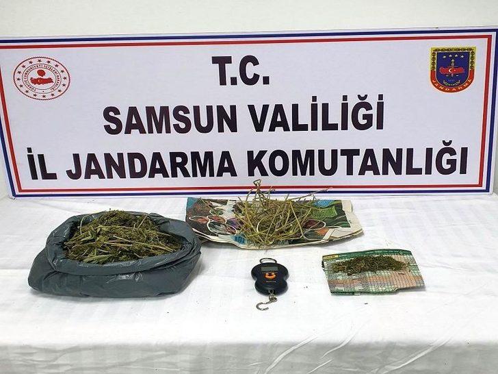 Jandarmadan uyuşturucu operasyonları G3