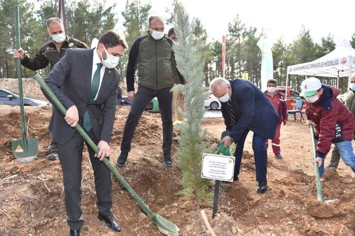 Yanan ormanlar için fidan diktiler G1