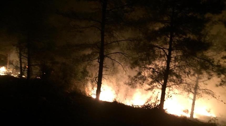 Son dakika: Hatay'da orman yangını! M&uuml;dahale ediliyor