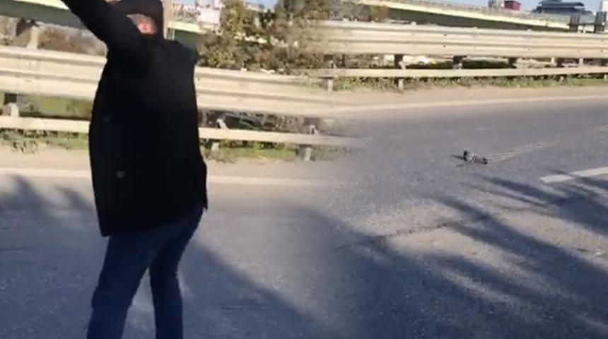 Yer: İstanbul! Yaralı güvercini ezilmekten son anda kurtardı