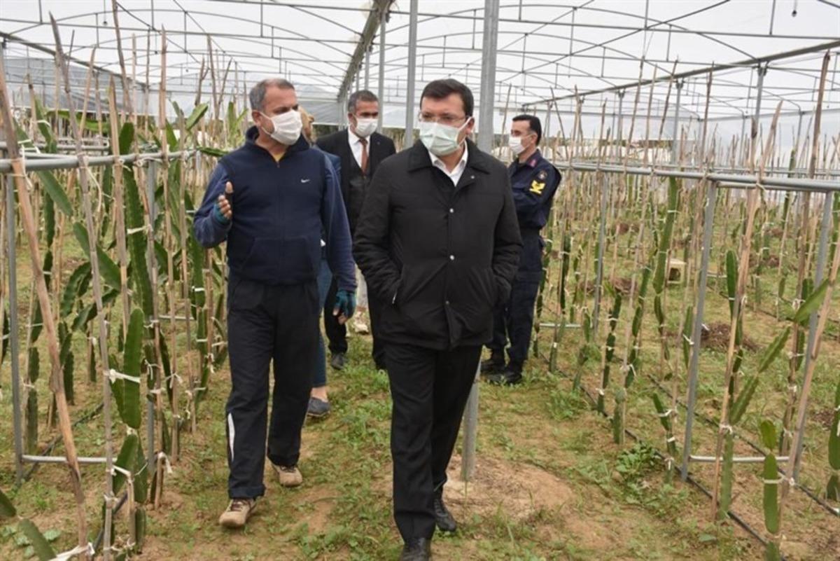 Kaymakam Şahin, &rsquo;Efeler Diyarında Pitaya&rsquo; Projesi kapsamında &uuml;reticilerle bir araya geldi