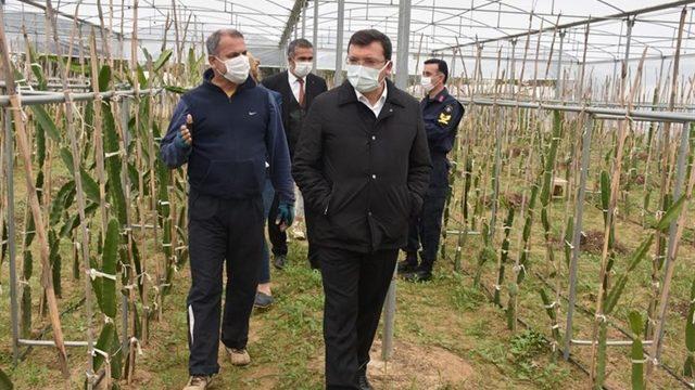 Kaymakam Şahin, ’Efeler Diyarında Pitaya’ Projesi kapsamında üreticilerle bir araya geldi