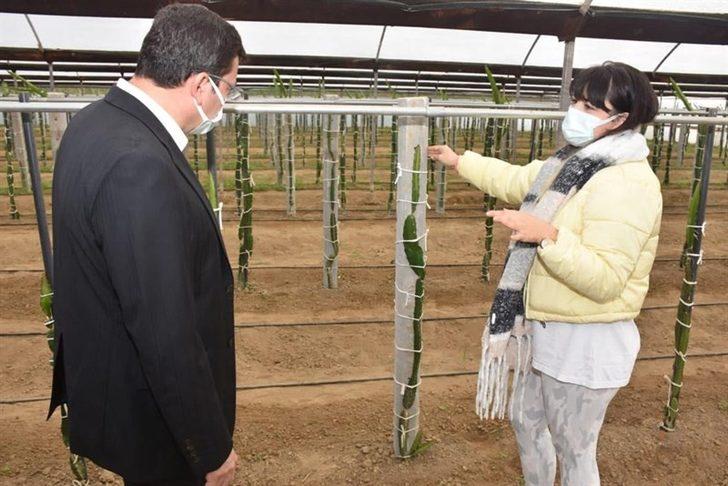 Kaymakam Şahin, ’Efeler Diyarında Pitaya’ Projesi kapsamında üreticilerle bir araya geldi G2