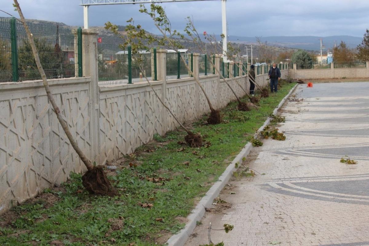 Aromatik bitkiler Karacabey&rsquo;de yeni gelir kapısına d&ouml;n&uuml;şebilir