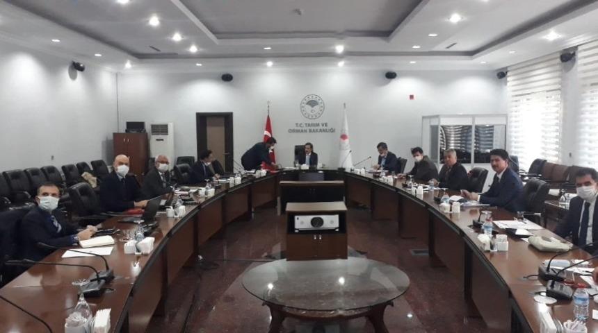 İl Tarım ve Orman M&uuml;d&uuml;rl&uuml;ğ&uuml;&rsquo;n&uuml;n yeni projeleri