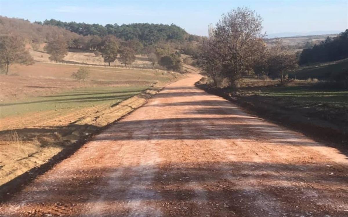 &Ccedil;ok&ccedil;apınar ile Erenk&ouml;y yolu stabilize bakım &ccedil;alışmasına başlanıldı