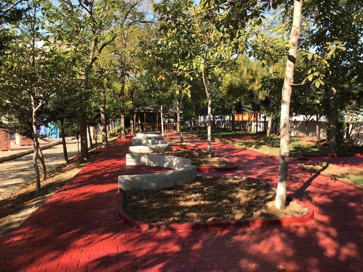 Yeşil Kartal için çalışmalar meyvelerini veriyor G1