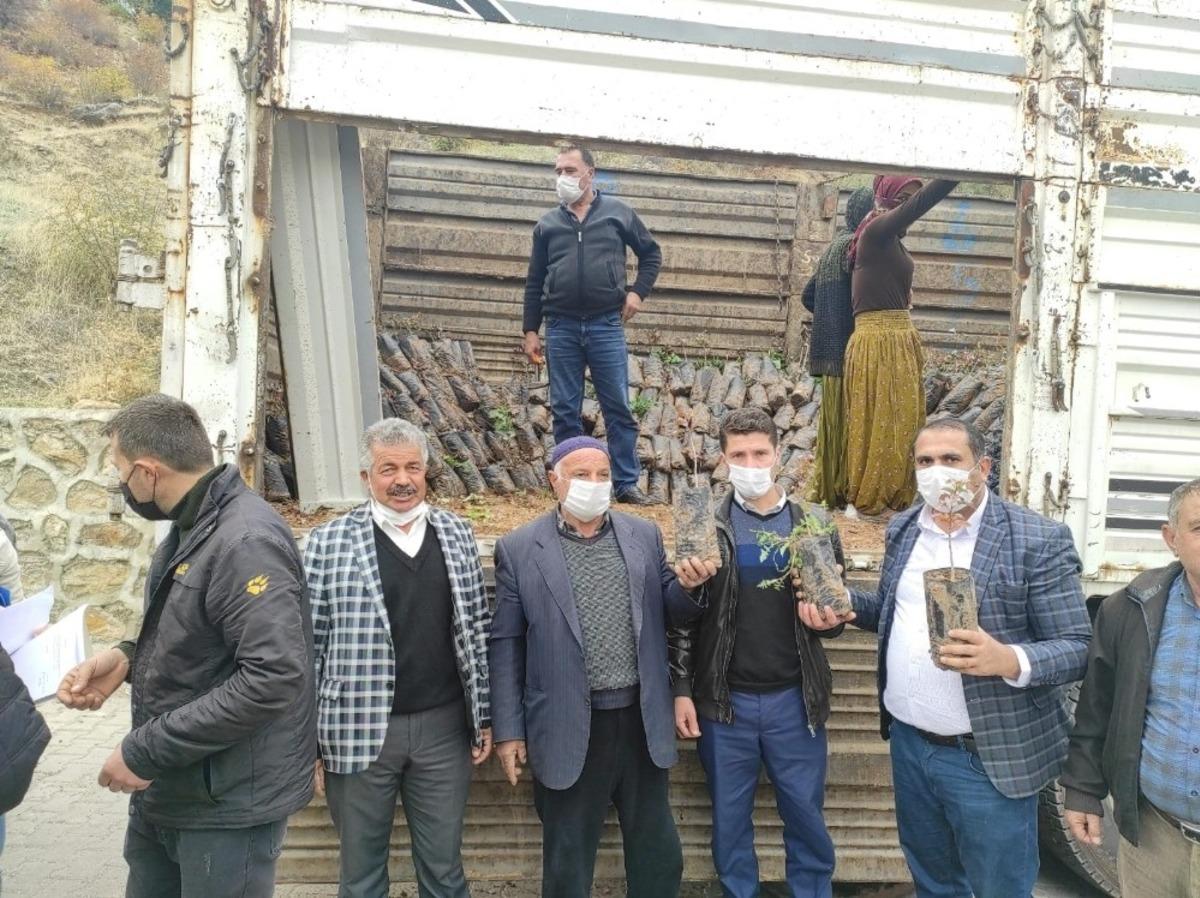 Sason&rsquo;da &ccedil;ift&ccedil;ilere 5 bin fıstık fidanı dağıtıldı