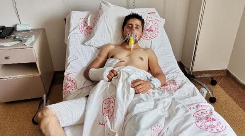 Ayıyla 10 dakika boğuştu, hayatını köpekler kurtardı: İnsanlar korkuyor