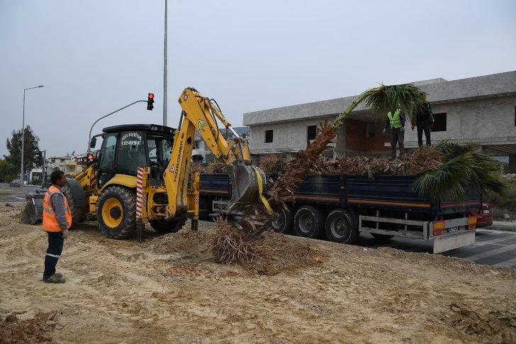 Kuşadası çevre yolu refüj ve kavşaklarda peyzaj çalışması başladı G4