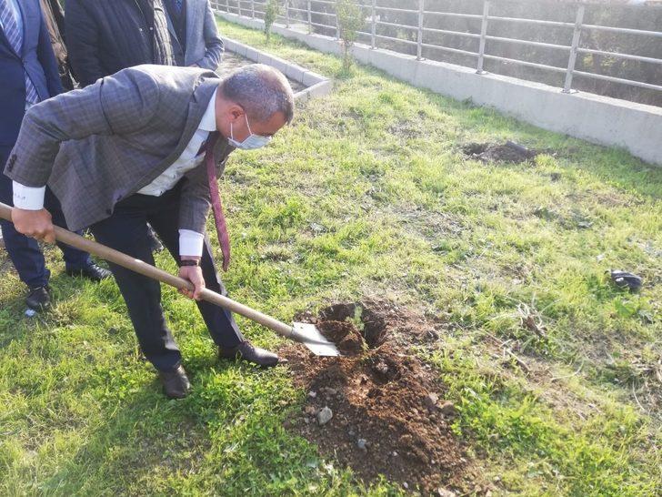 Öğretmenlerin fidanları toprakla buluştu G3