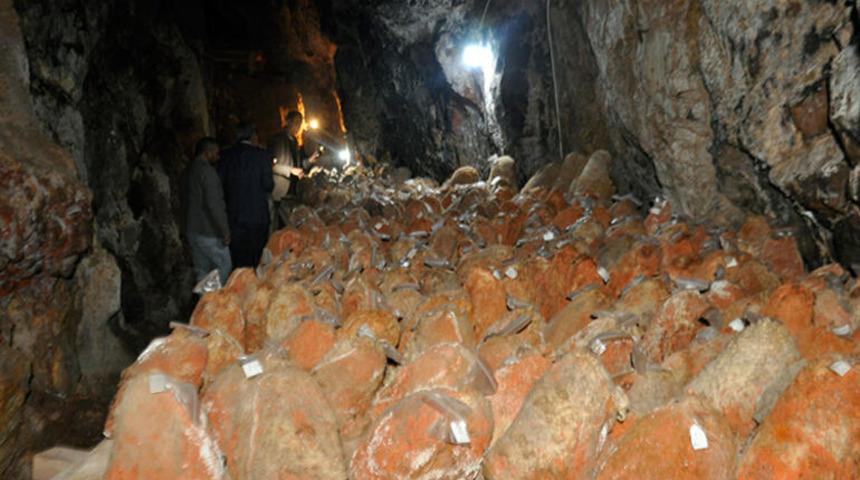 Fransızların rokfor peynirine rakip oldu! 5 ay mağarada saklanıyor ve...