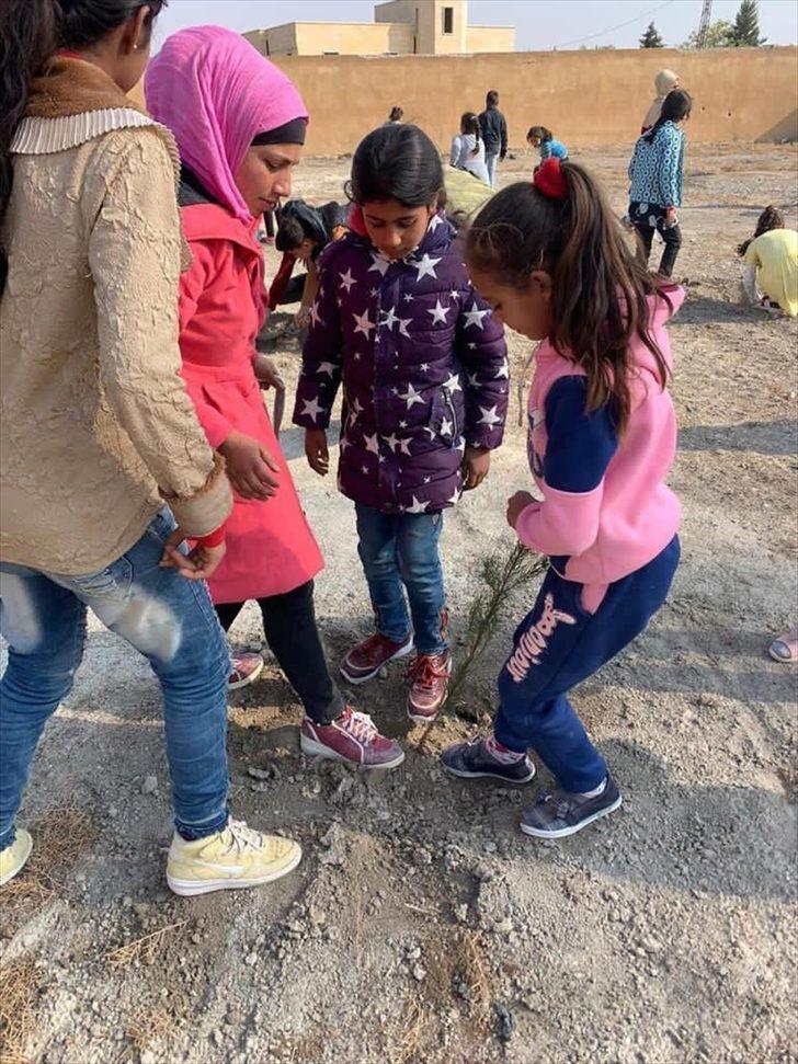 Mehmetçik Tel Abyad'a 740 fidan dikti G1