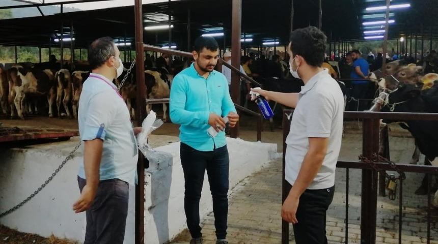 Hayvan Pazarları hafta sonu açık olacak