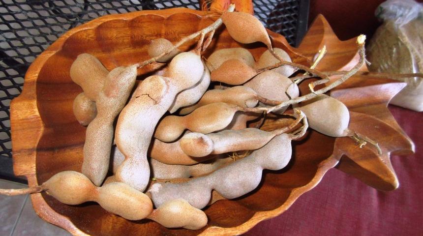 En Etkili Doğal İlaç: Kanı Temizleyip Mideyi Güçlendiriyor