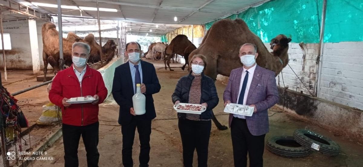 Başkan Kaya, deve s&uuml;t&uuml; &uuml;r&uuml;nlerini tanıttı