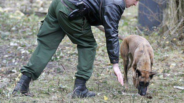 Arama köpekleri şüphelinin yerini belirlemede önemli bir rol oynadı.