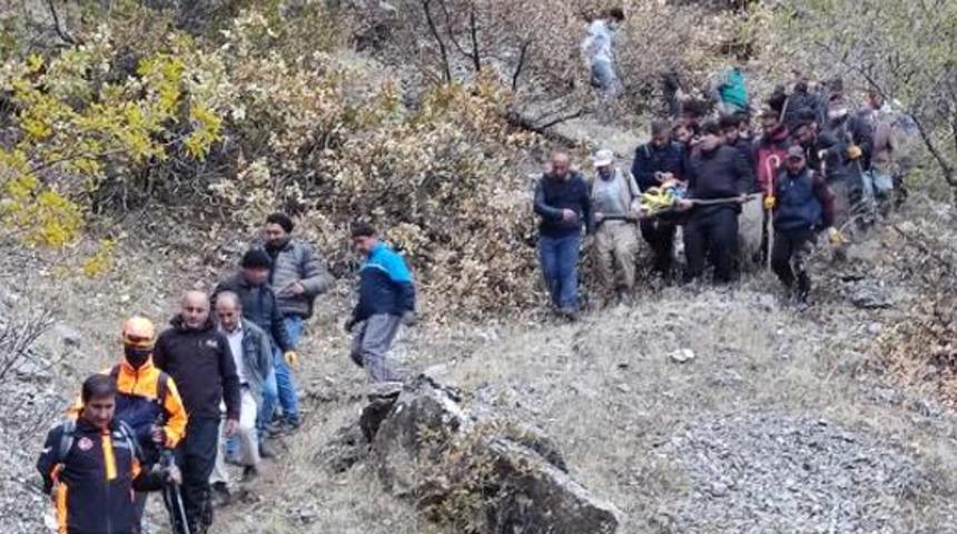 Odun toplamak i&ccedil;in gitmişti! Kahreden haber