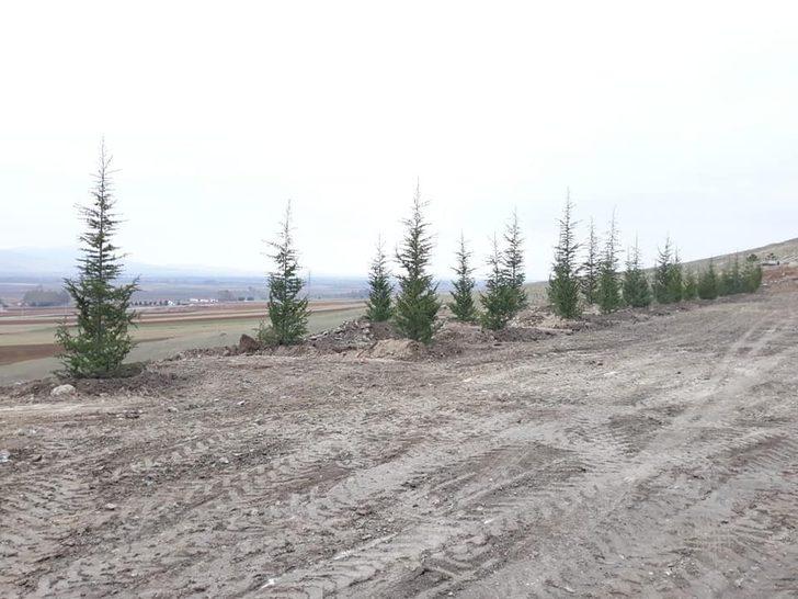 Kar yağışı fidan dikmeye engel olmadı G4