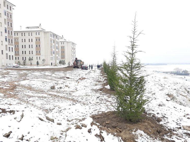 Kar yağışı fidan dikmeye engel olmadı G5