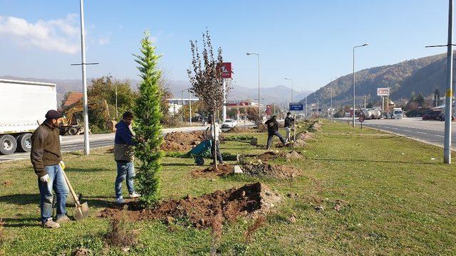 Düzce D-100’de peyzaj düzenlemesi sürüyor