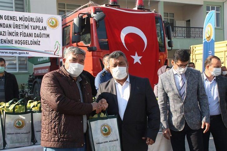 Mut’ta 13 mahalleye 15 bin beyaz incir fidanı dağıtıldı G1