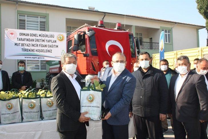 Mut’ta 13 mahalleye 15 bin beyaz incir fidanı dağıtıldı G3