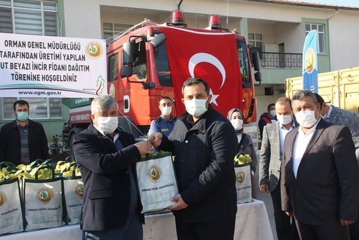 Mut’ta 13 mahalleye 15 bin beyaz incir fidanı dağıtıldı G4