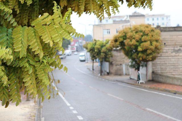 Araban’da vatandaşlar yeni tedbirlere uydu