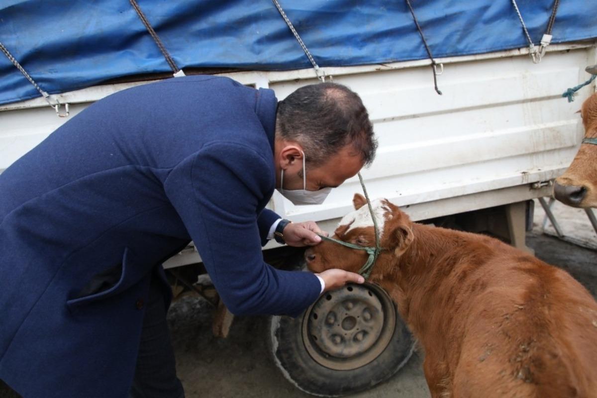 Kibar: &ldquo;Hayvan pazarındaki talepleri kısa s&uuml;rede &ccedil;&ouml;z&uuml;me kavuşturacağız&rdquo;