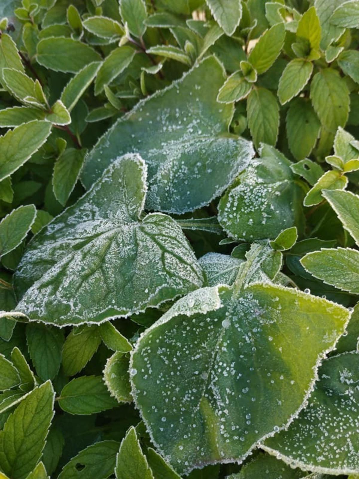 Eskişehir&rsquo;de kırağı doğaya beyaz gelinliğini giydirdi