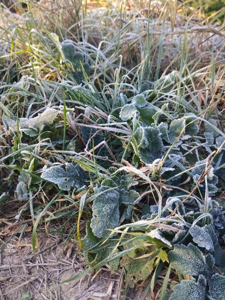 Eskişehir’de kırağı doğaya beyaz gelinliğini giydirdi G3