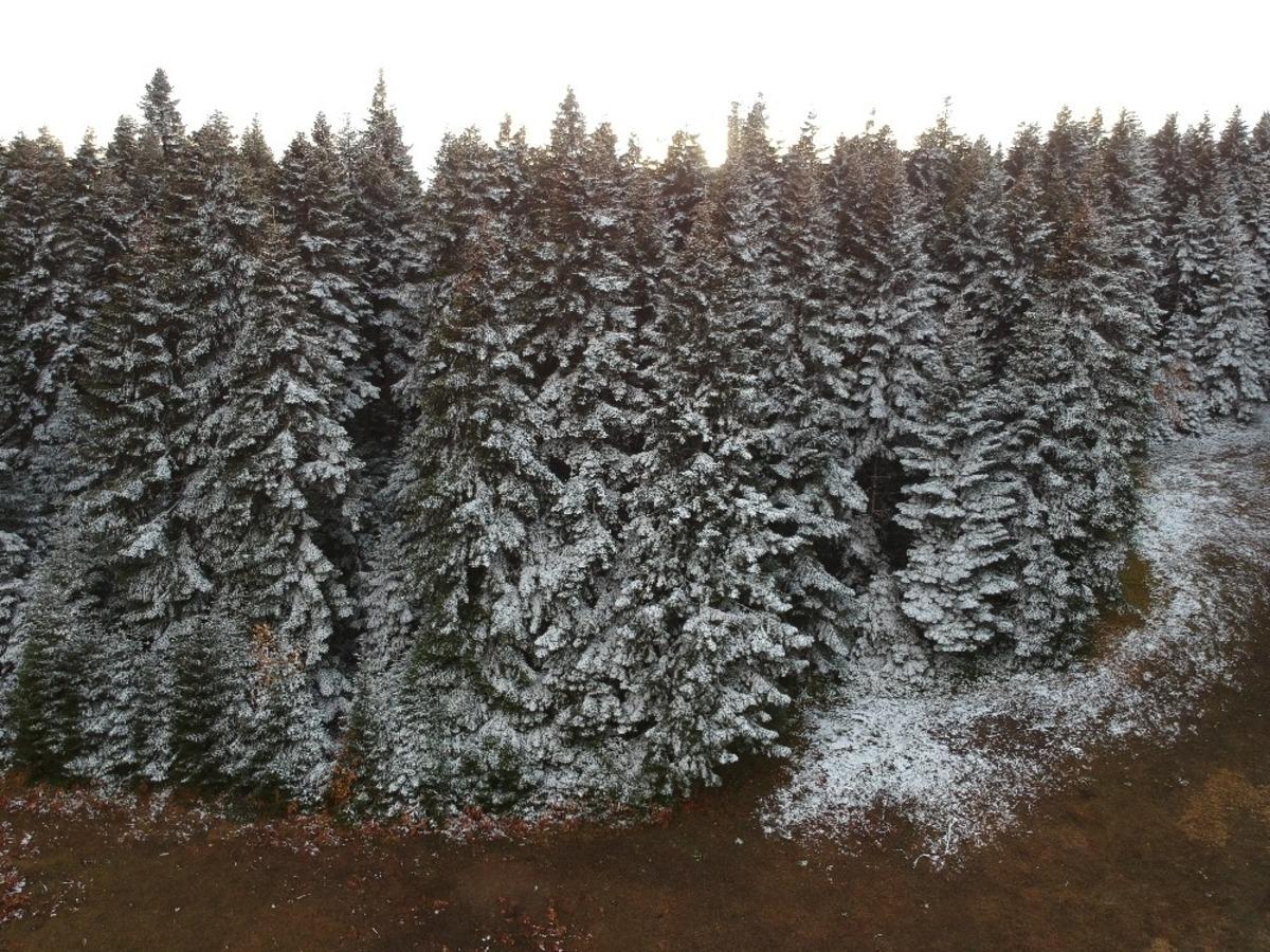 Sinop&rsquo;a yılın ilk karı d&uuml;şt&uuml;, kartpostallık g&ouml;r&uuml;nt&uuml;ler ortaya &ccedil;ıktı