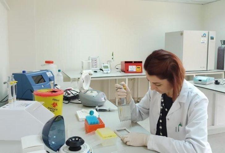 BAÜN, Veteriner Fakültesiyle Bölge Hayvancılığına Güç Katıyor G4