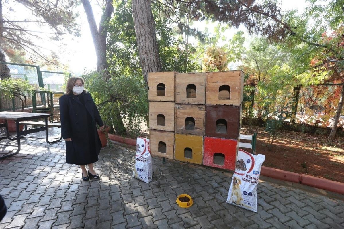 B&uuml;y&uuml;kşehir, sokak hayvanlarının tedavisi i&ccedil;in &ouml;nemli bir &ccedil;alışma başlattı