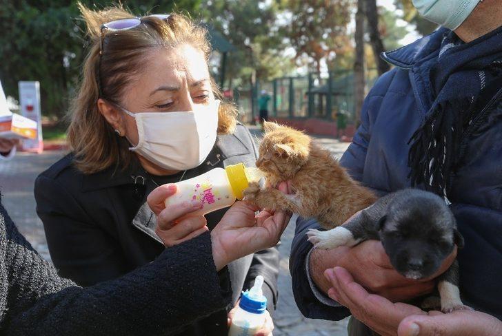 Büyükşehir, sokak hayvanlarının tedavisi için önemli bir çalışma başlattı G3