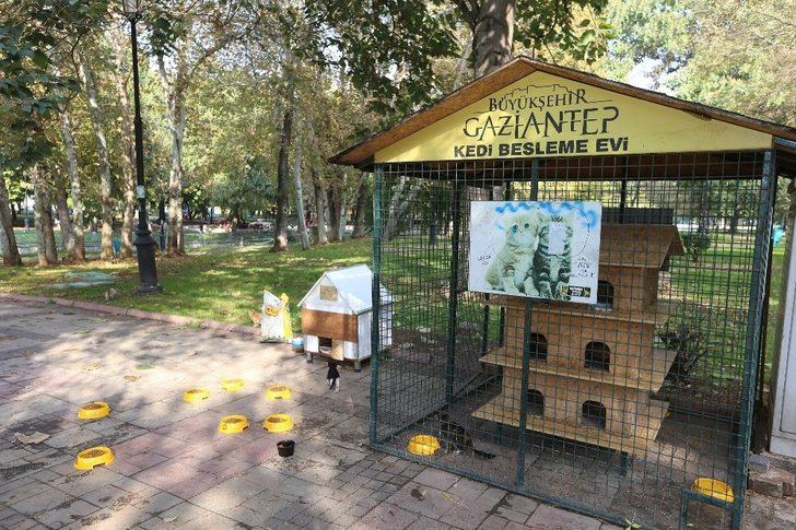 Büyükşehir, sokak hayvanlarının tedavisi için önemli bir çalışma başlattı G4