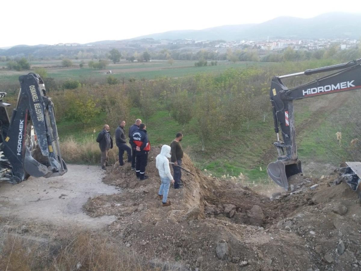 Menfezde sıkışan 4 ineği itfaiye ve zabıta ekipleri kurtardı