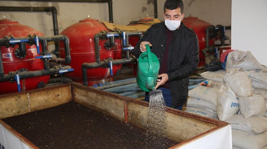 Günde 1 saat çalışarak ayda 3 ton solucan gübresi üretiyor