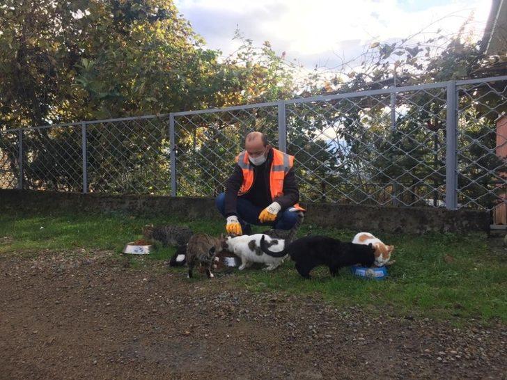 Altınordu’da sokak hayvanları düzenli olarak besleniyor G4