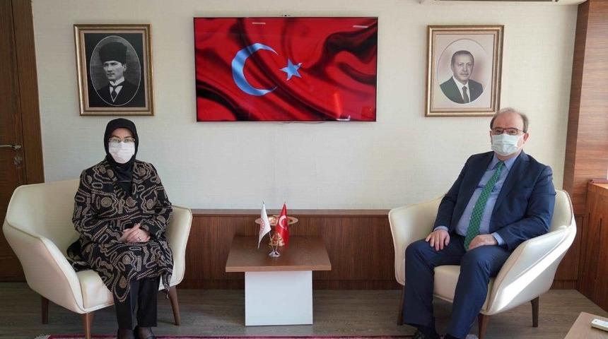 Helenopolis Antik Kenti gün yüzüne çıkarılacak