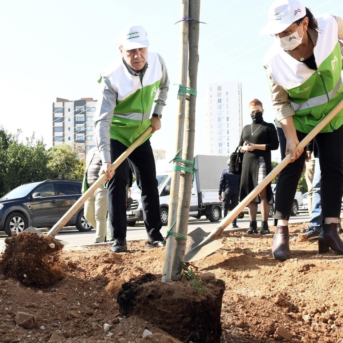 Mersin&rsquo;de bir yılda 700 bin fidan dikilecek