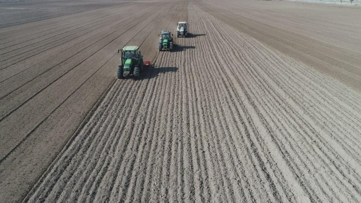 Konya B&uuml;y&uuml;kşehir 700 bin metrekare araziyi &uuml;retime ve ekonomiye kazandırıyor