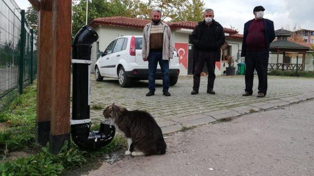 Kartepe’nin sevimli dostlarına yeni kaplar