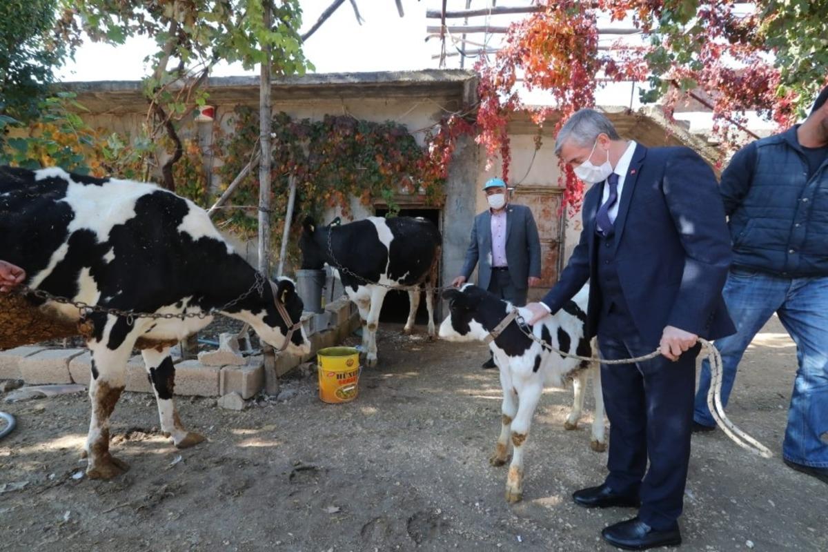 Şahinbey&rsquo;de hayvan yetiştiricilerine destek s&uuml;recek