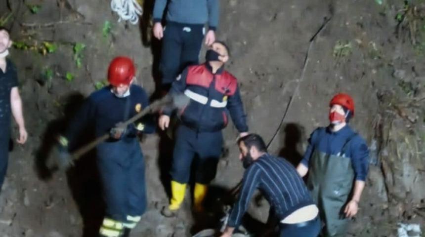 Çamura saplanan inek kurtarıldı