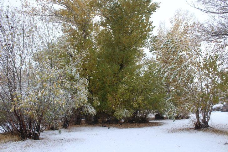 Ağrı’da etkili olan kar kartpostallık görüntülere sahne oldu G4