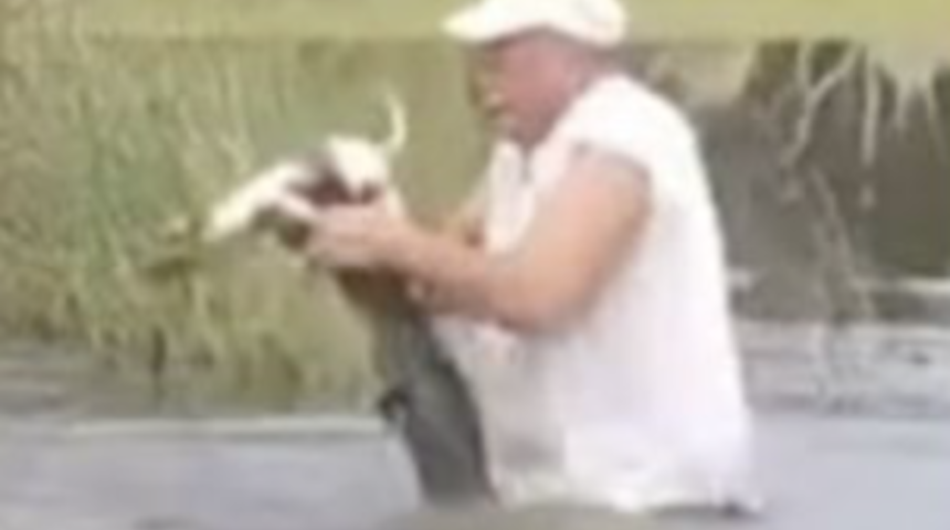 Füze gibi fırladı! Timsahın öğle yemeği oluyordu ama...