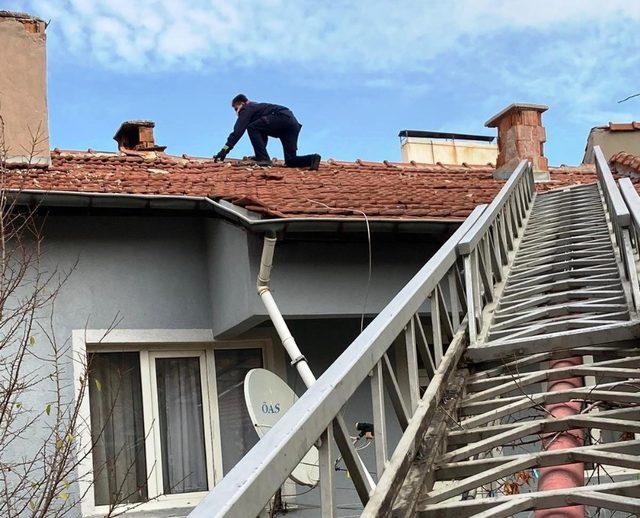 Kiremitlerin arasına sıkışan kediyi itfaiyeciler kurtardı