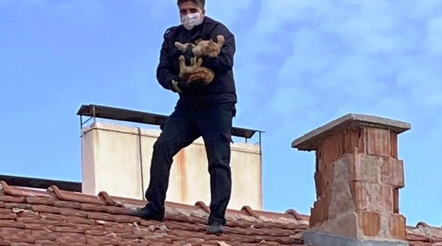 Kiremitlerin arasına sıkışan kediyi itfaiyeciler kurtardı